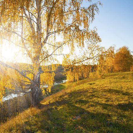 Поселок Hillside Park — земельные участки ИЖС в Саратове